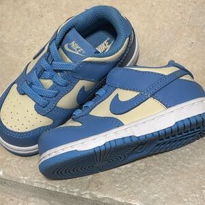 Nike Dunks TODDLER 6c